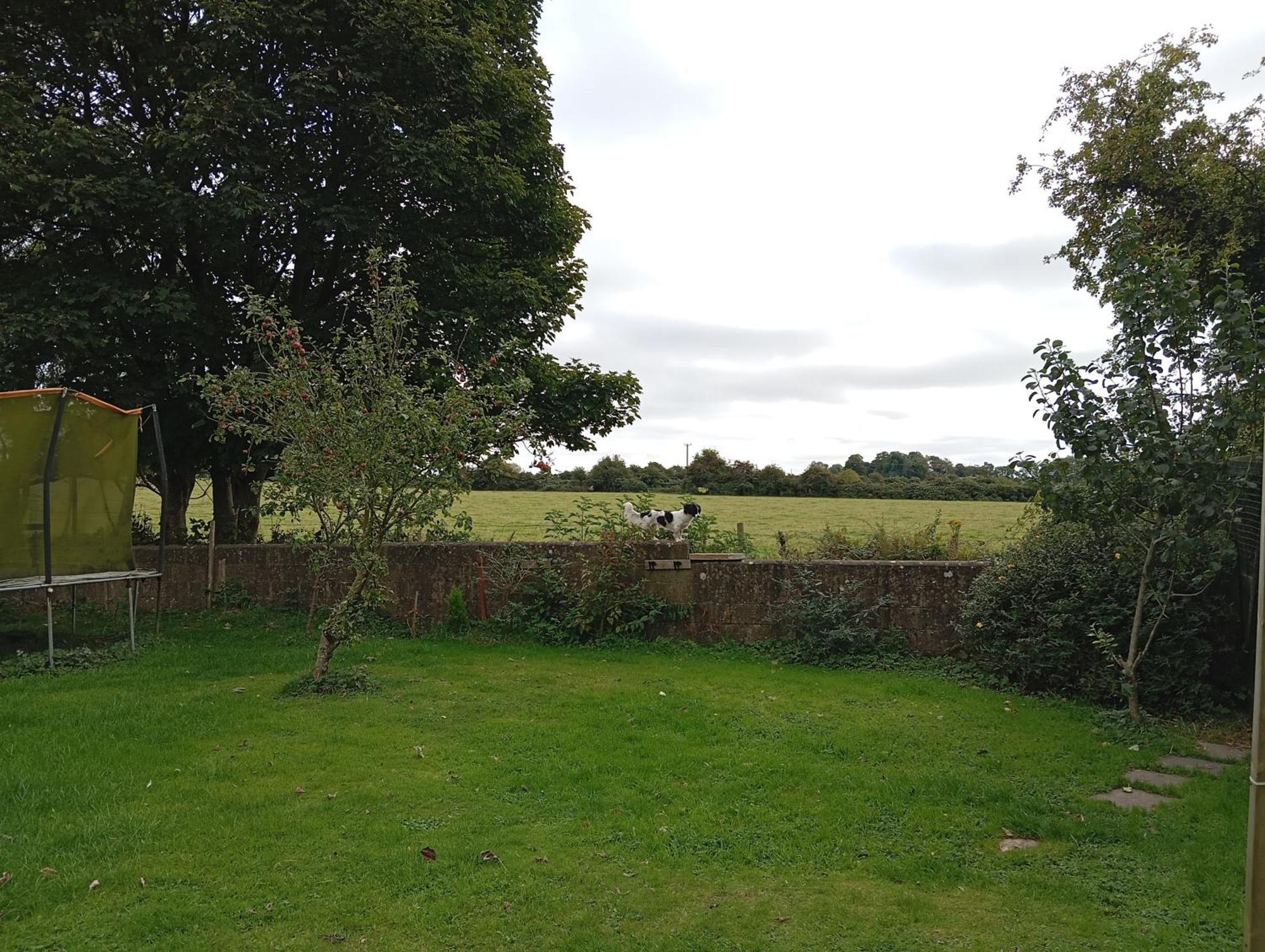 Adventure Retreat 'the Cabanne' No Shower Dublin