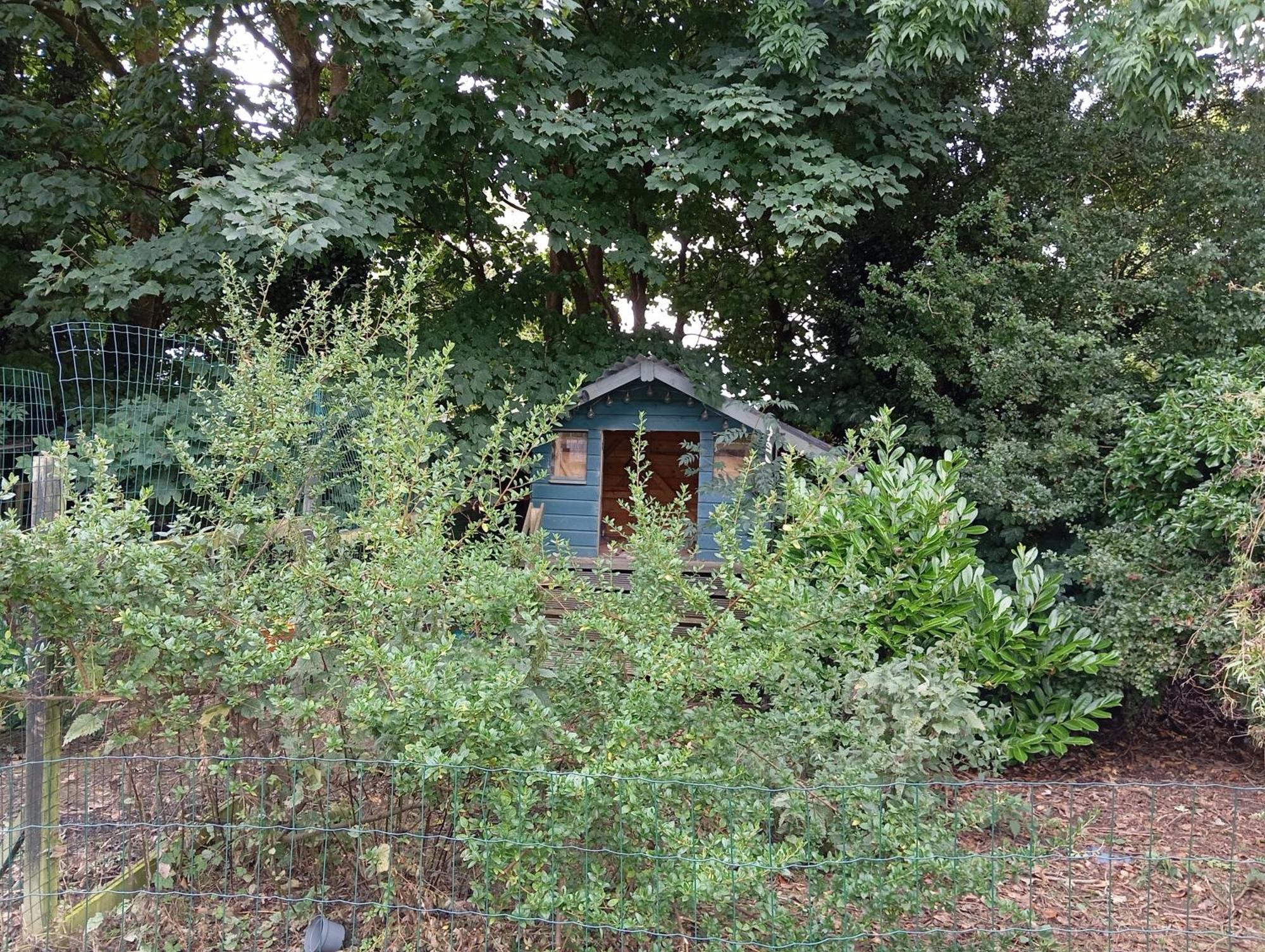 Adventure Retreat 'the Cabanne' No Shower * Dublin